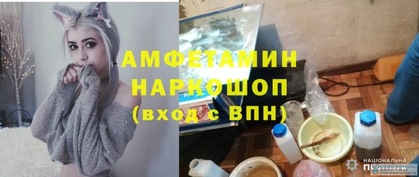 индика Сясьстрой