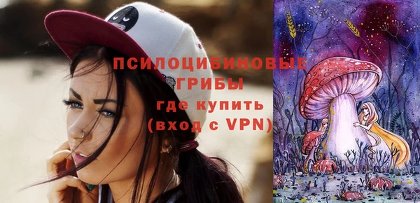 тгк Богородицк