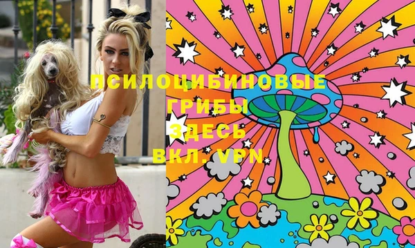 индика Сясьстрой