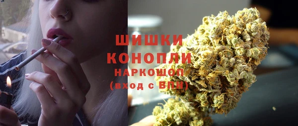 тгк Богородицк