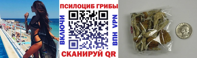 Галлюциногенные грибы Psilocybe  Вязники 